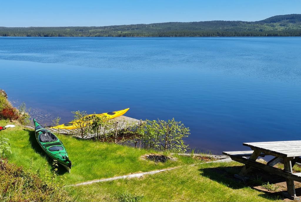Säljarens egna bilder