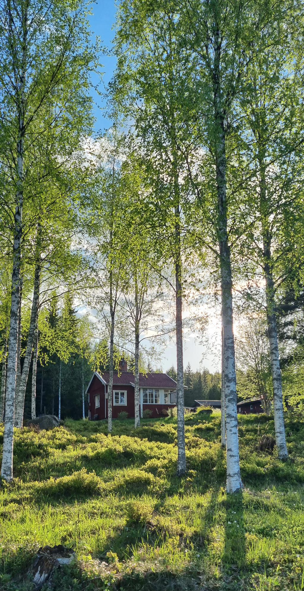 Säljarens egna bilder