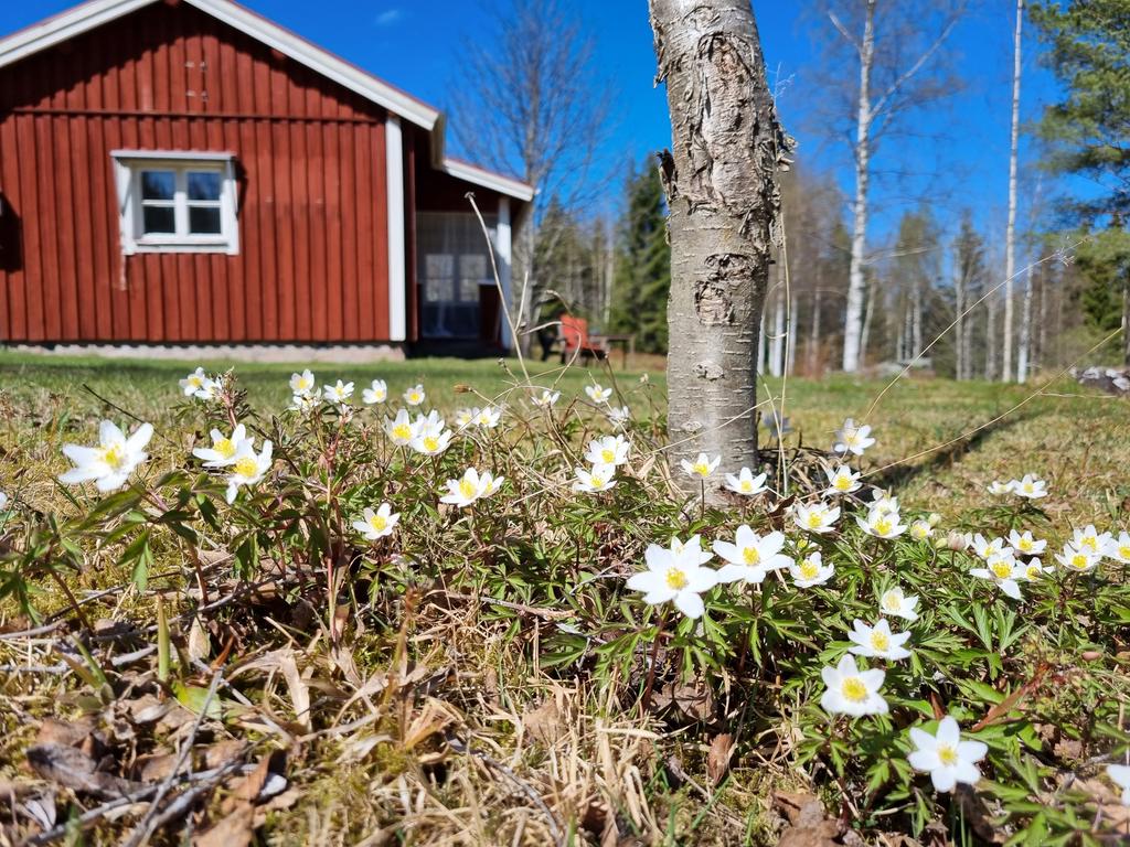 Säljarens egna bilder