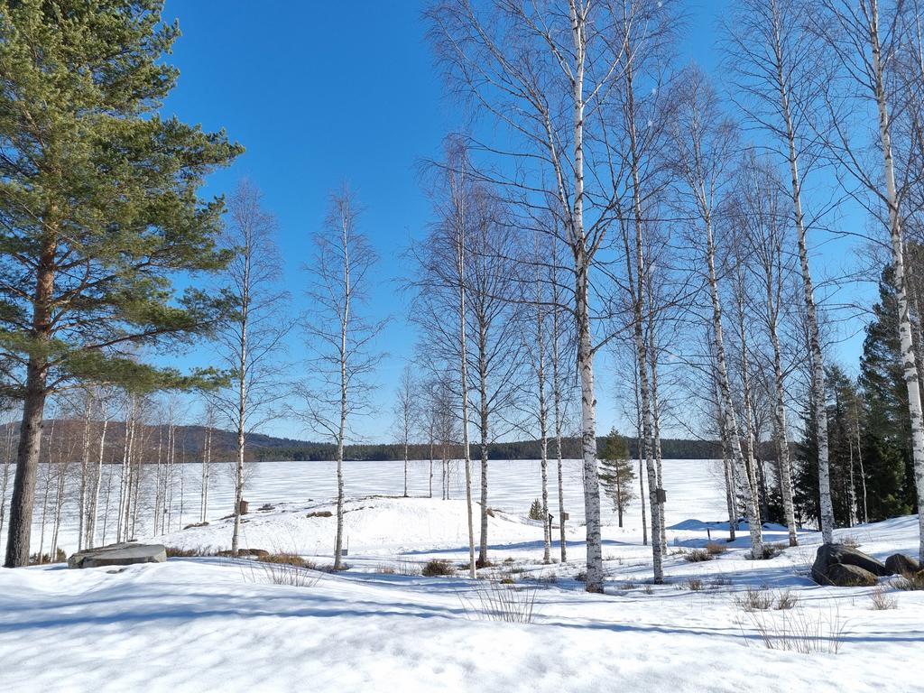 Säljarens egna bilder
