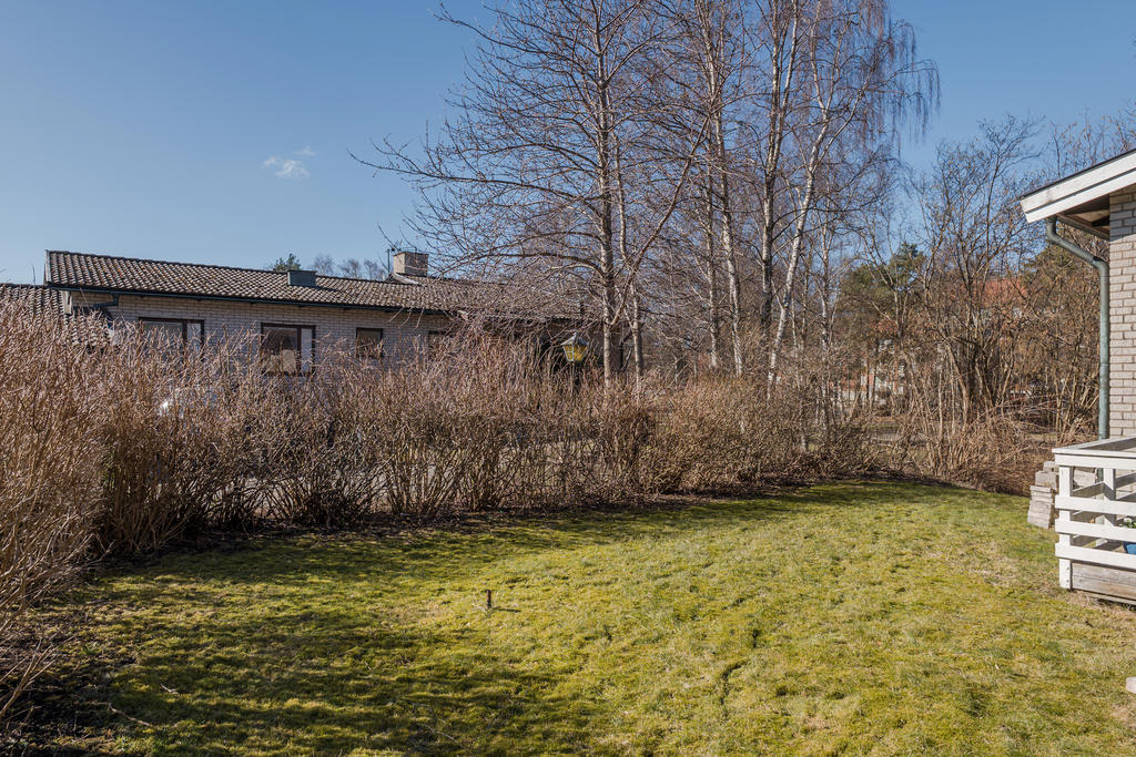 Trädgård på baksidan