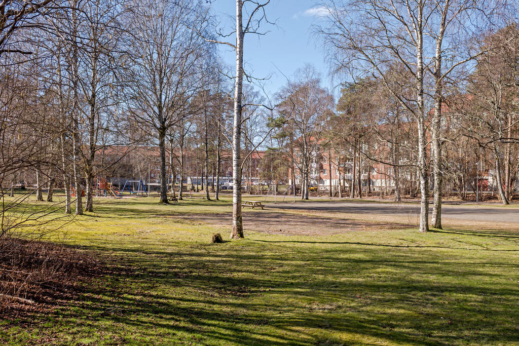Intilliggande grönområde