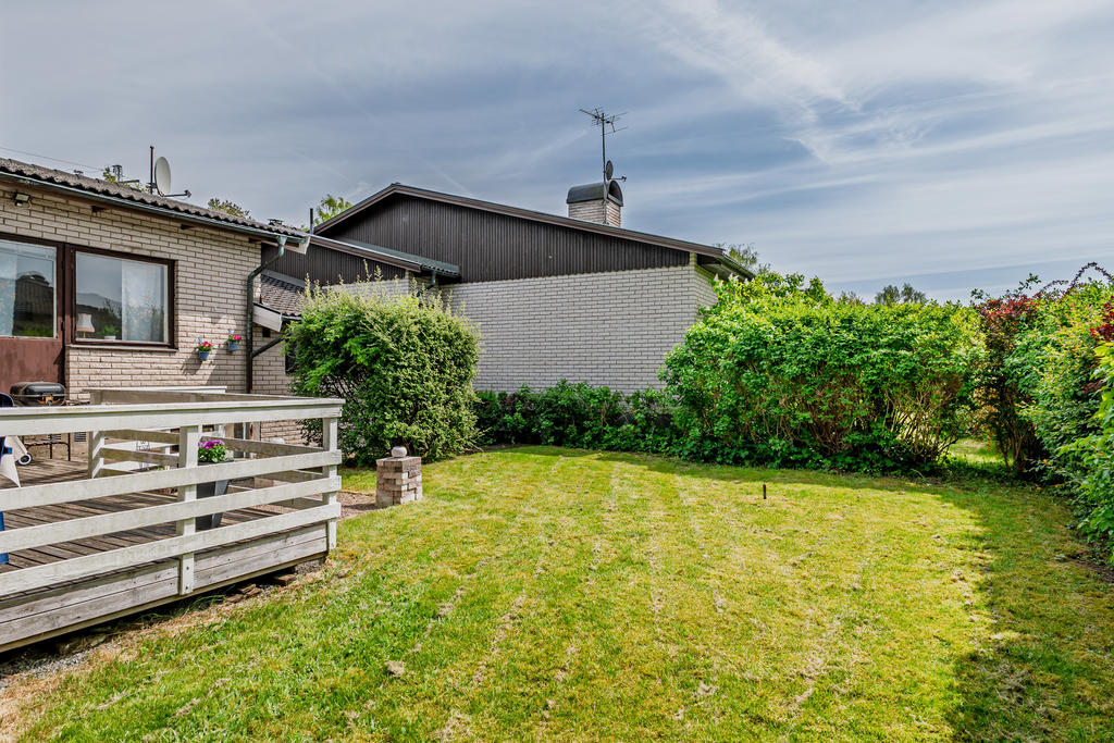 Trädgård på baksidan