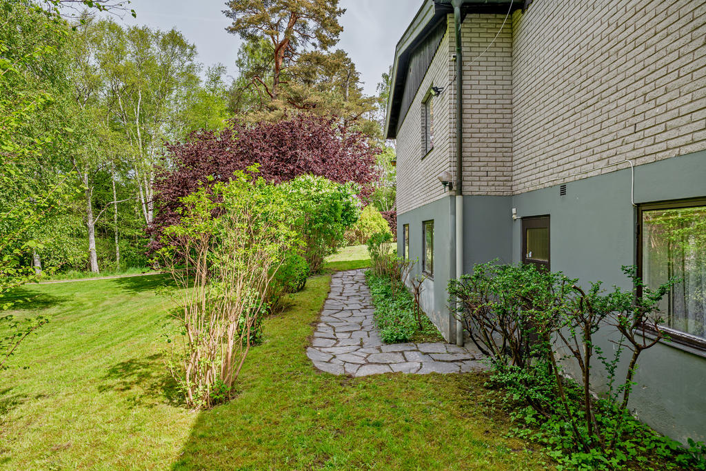 Hörntomt