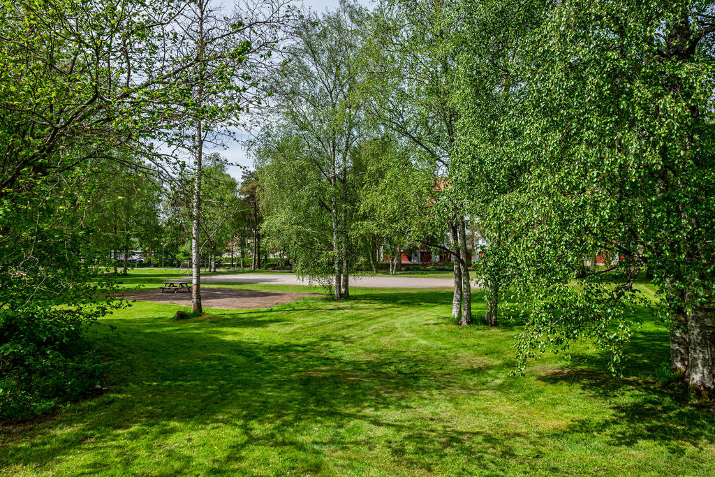 Intilliggande grönområde