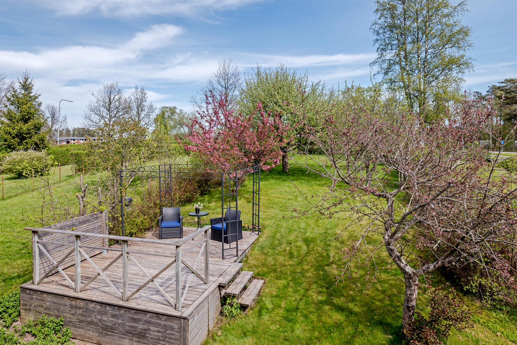 Härlig trädgård med grönytor och grönskande träd