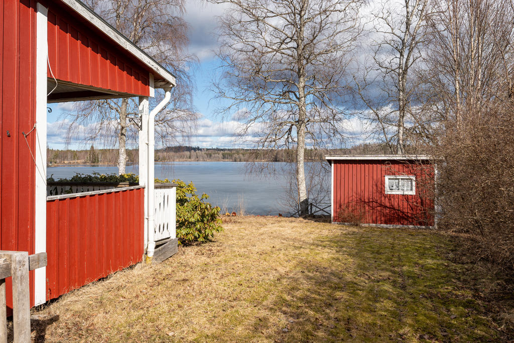 Trädgård