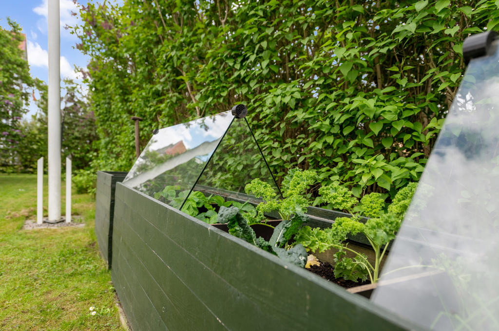 Detaljbild, kryddträdgård