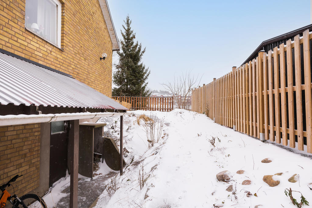 Trädgård med groventrén till tvättstugan