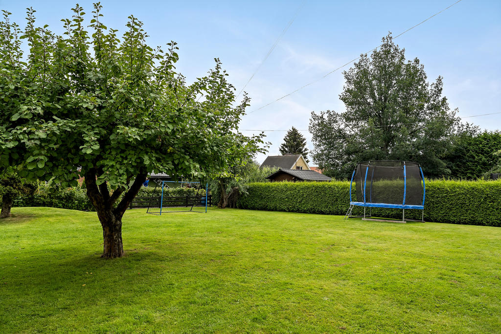 Lummig trädgård med häckar