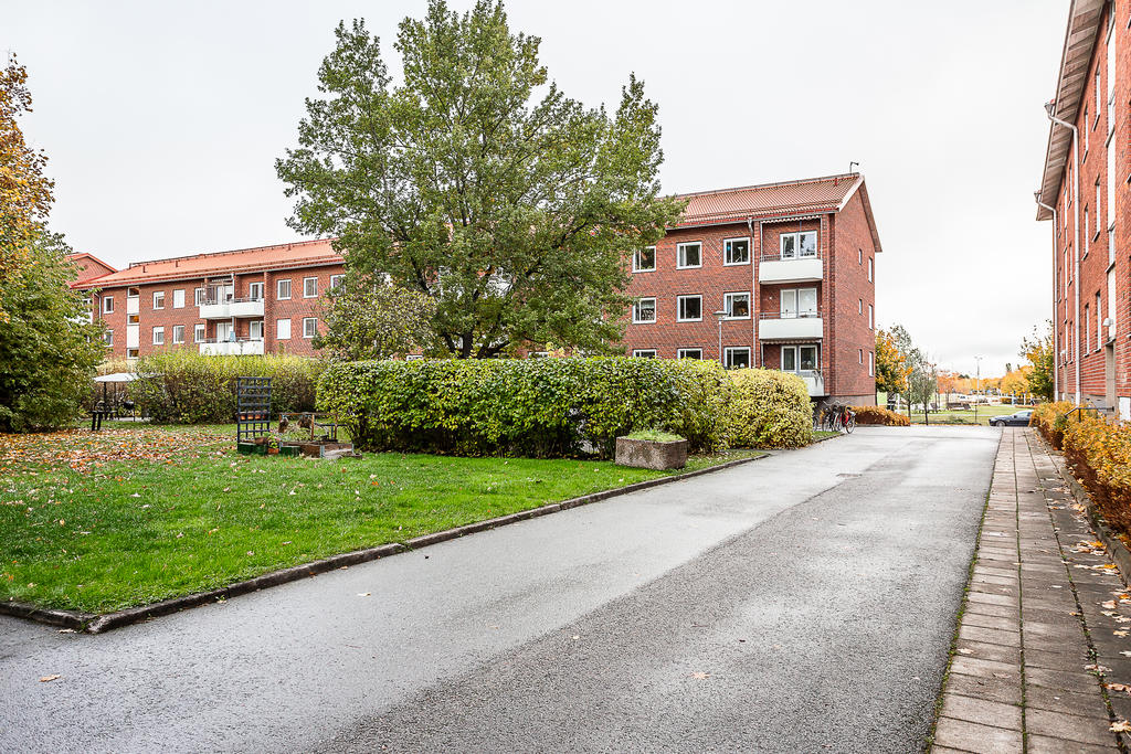 Föreningens gemensamma innergård.