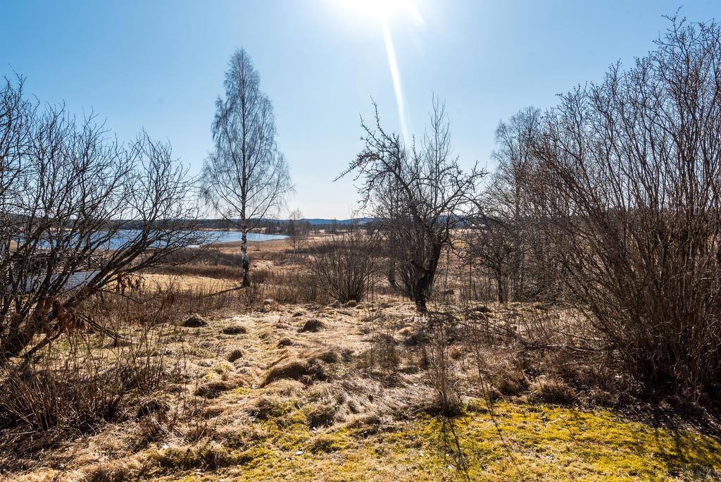 Kälksjön och närområdet
