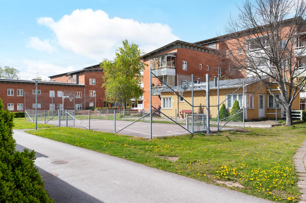 Gemensamma utomhusytor