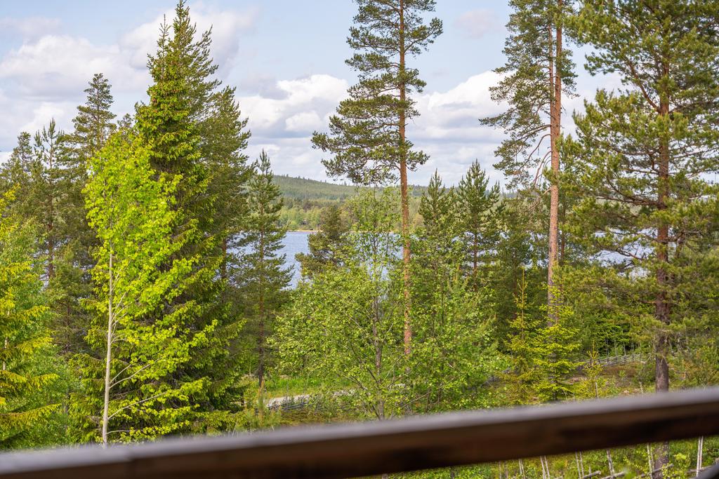 Från verandan