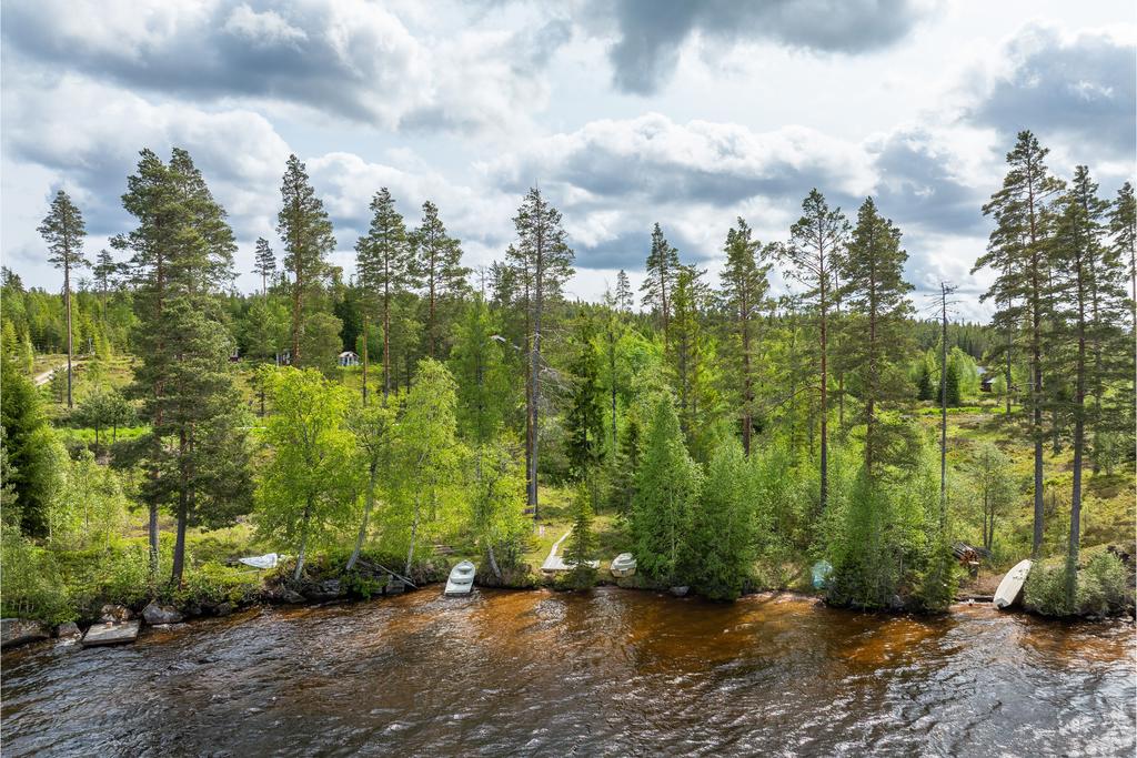 Markområdet vid sjön