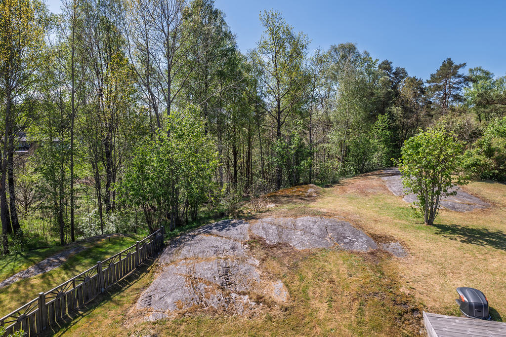 Utsikt över trädgården