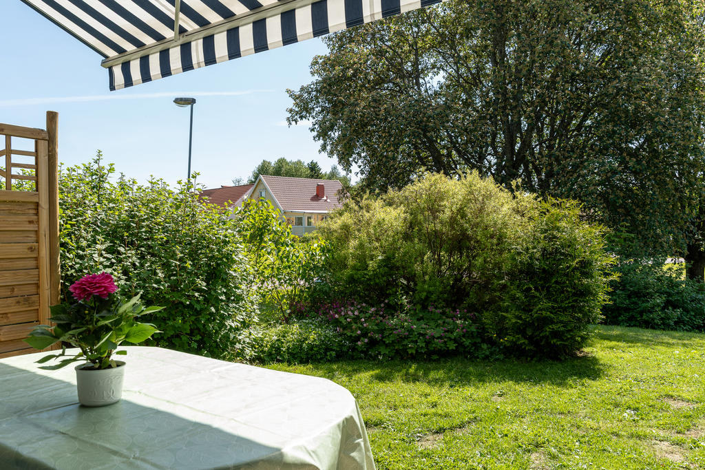 Trädgård