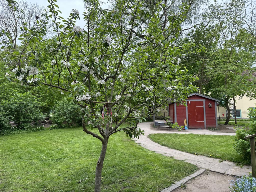 Säljarens bild