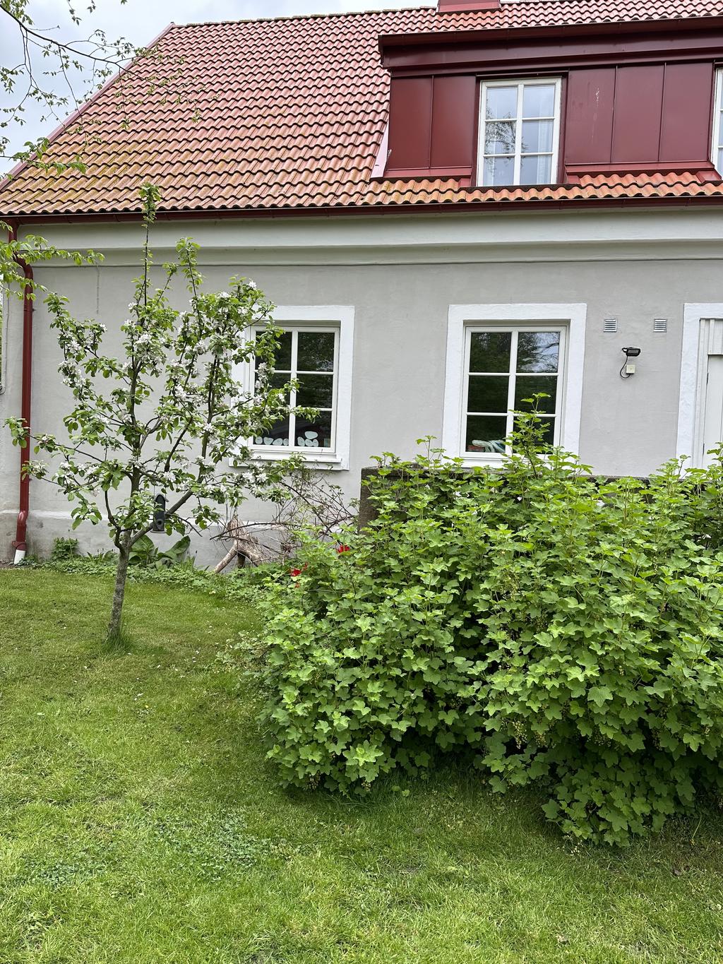 Säljarens bild