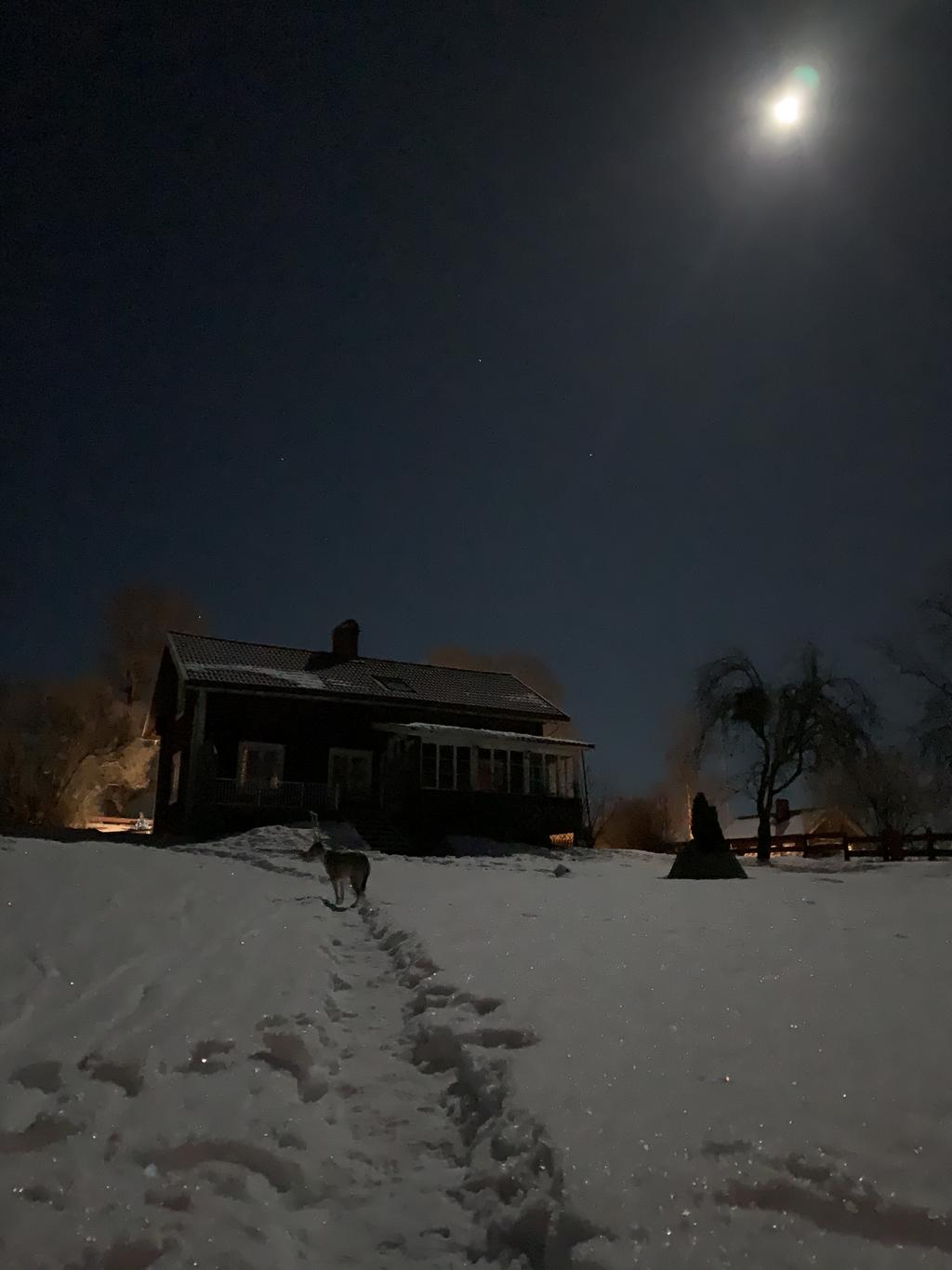 Säljarens egna bild