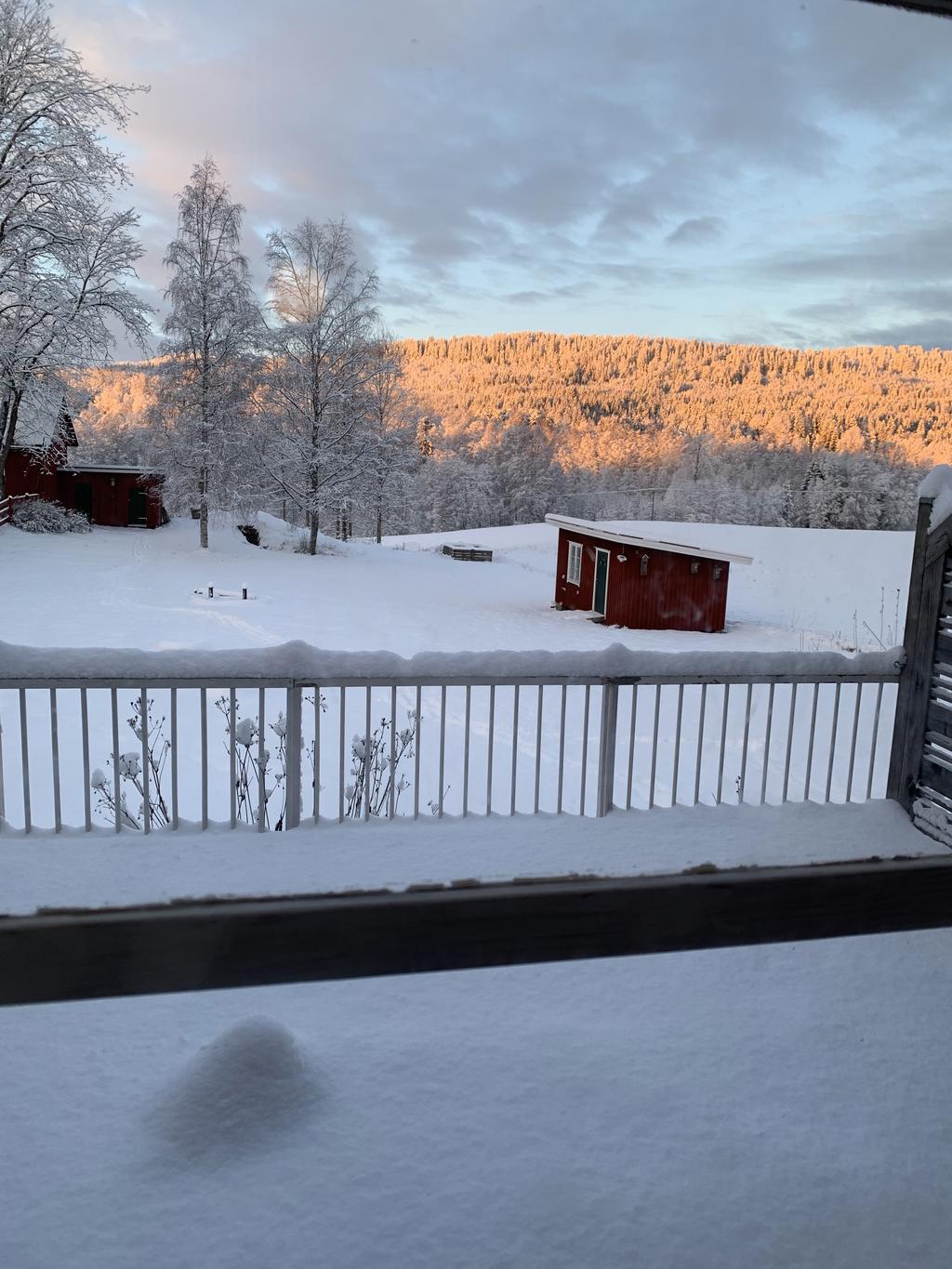 Säljarens egna bild