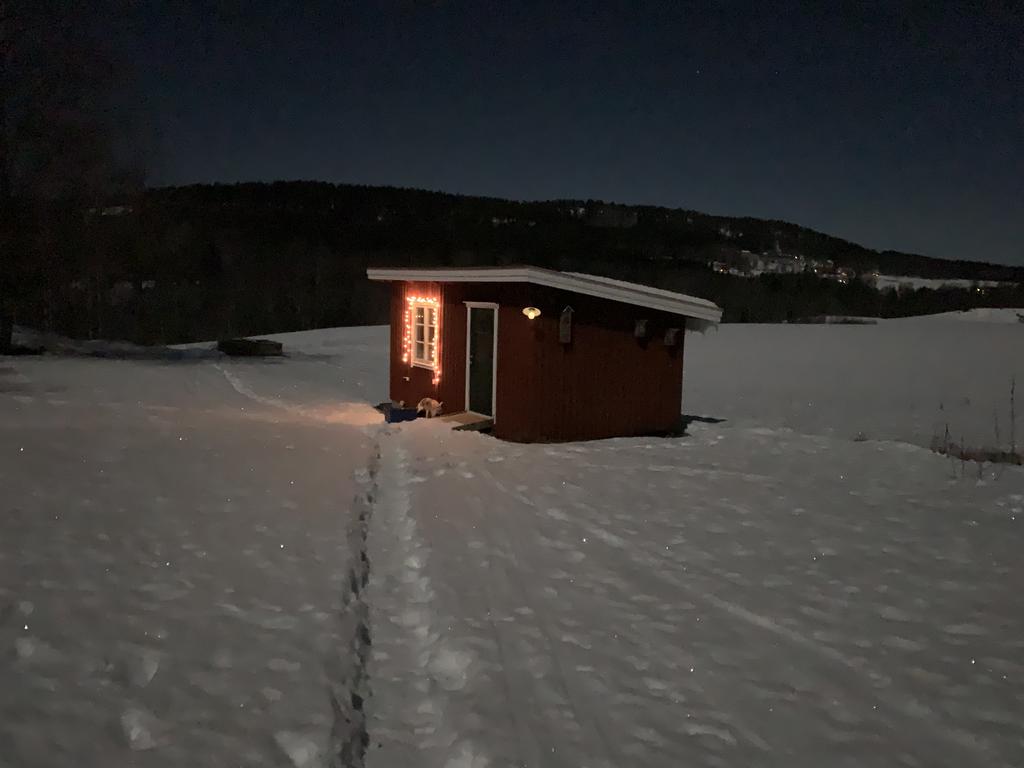 Säljarens egna bild