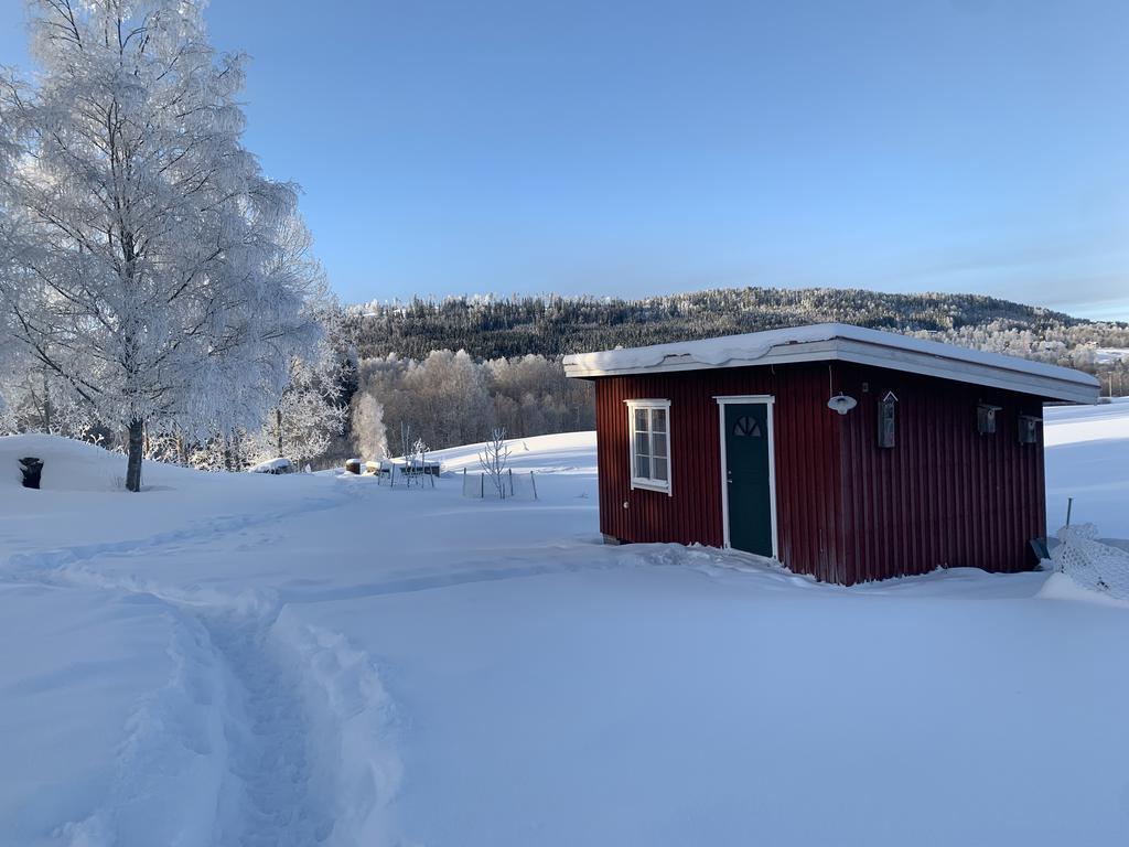 Säljarens egna bild