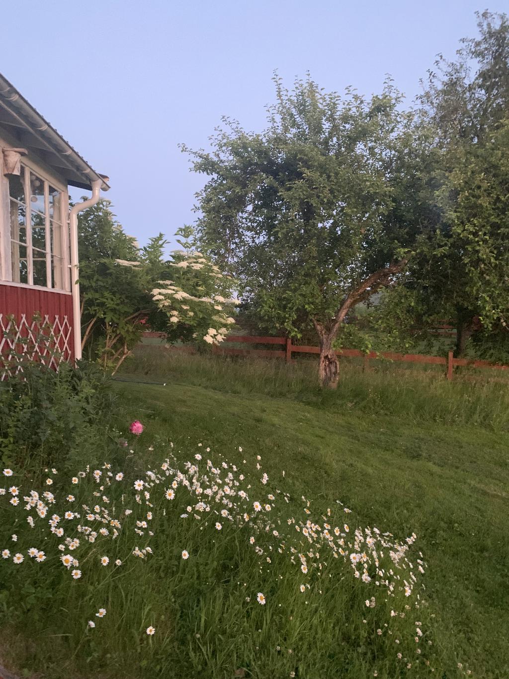 Säljarens egna bild