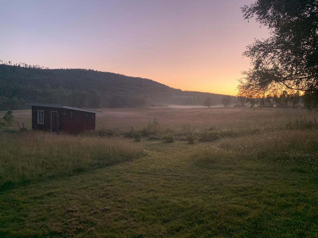 Säljarens egna bild
