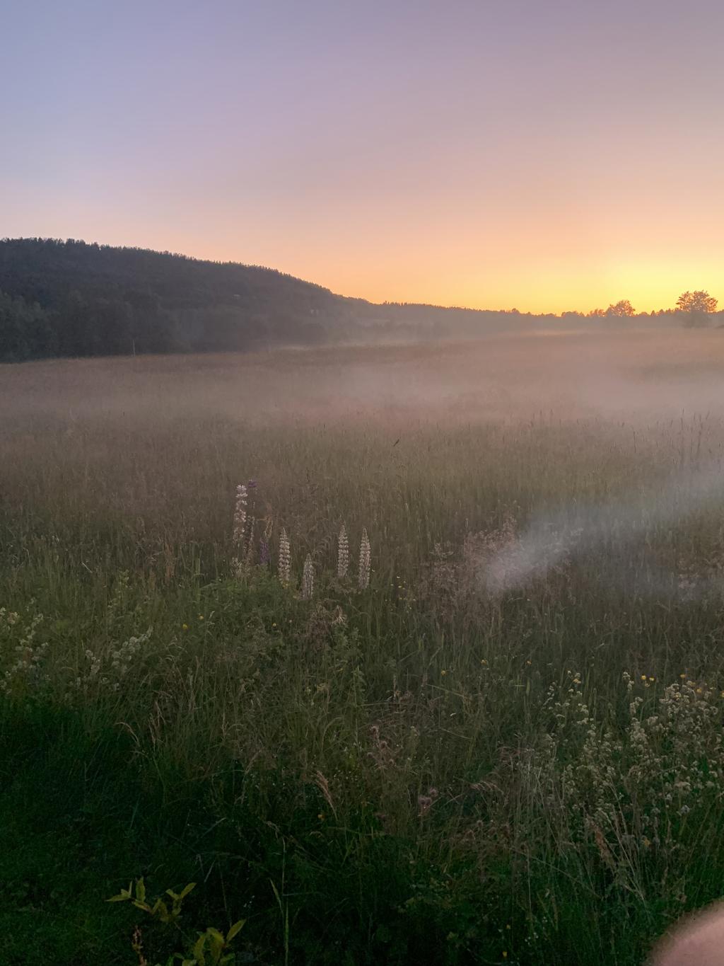 Säljarens egna bild