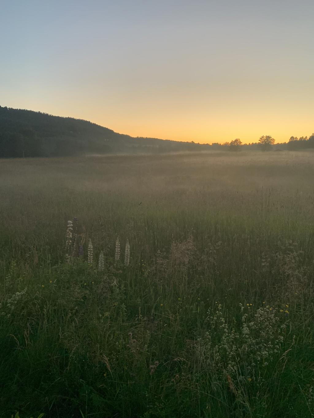 Säljarens egna bild
