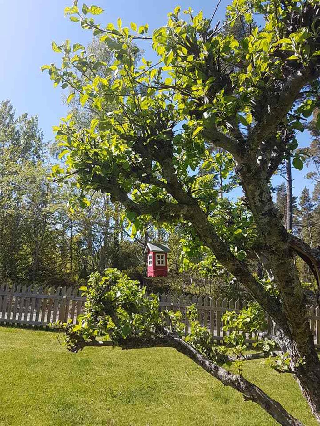 Säljarens sommarbild