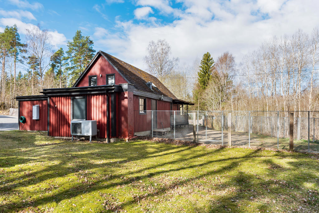 Exteriör baksida, hundgård