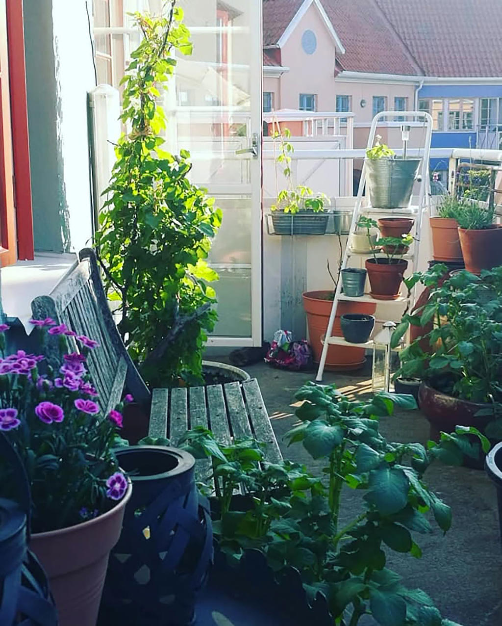 Sommarbild på balkongen