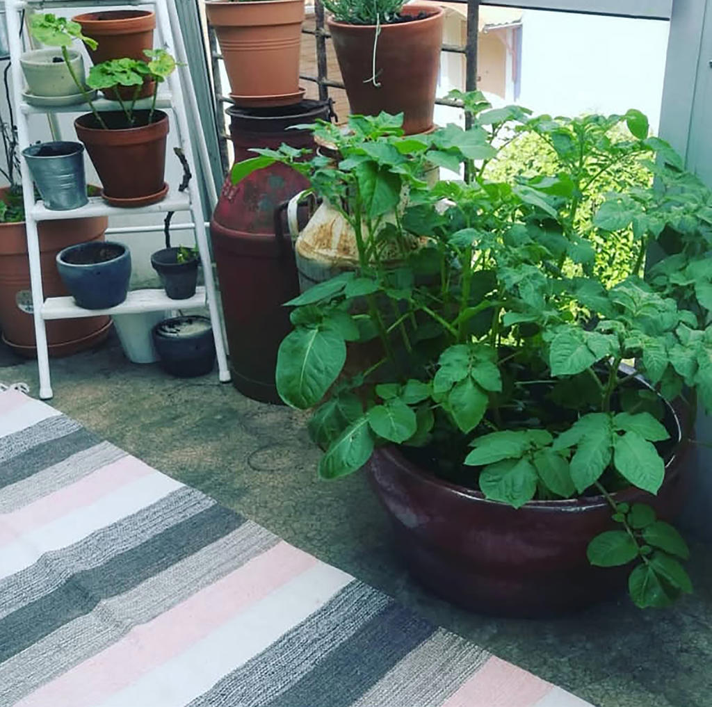 Sommarbild på balkongen