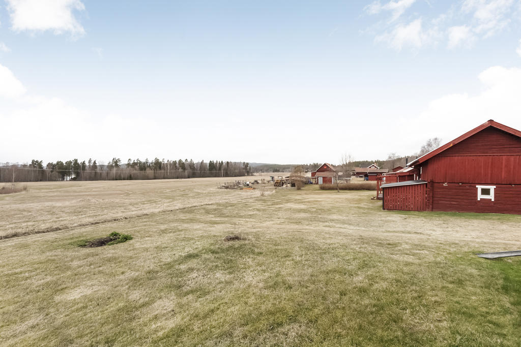 Utsikt över åkrarna från trädgården