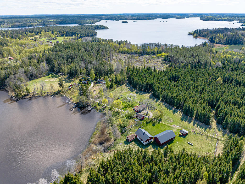 Närliggande klarvattensjö, Likstammen