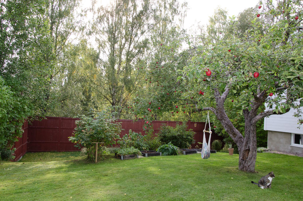 Säljarnas egna bild