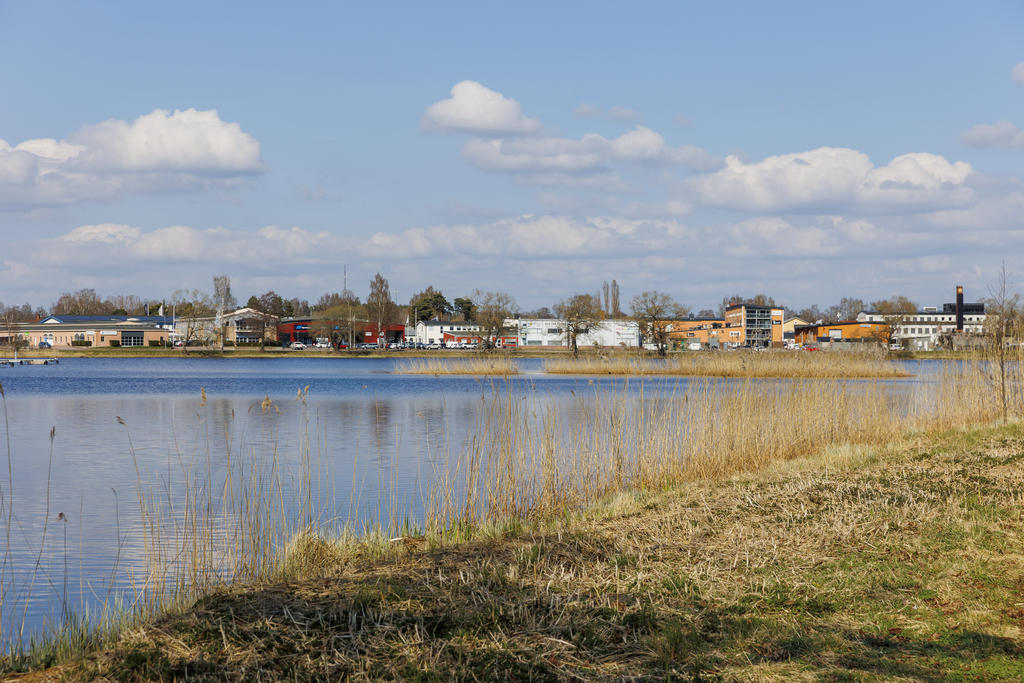 Lambergstjärnet
