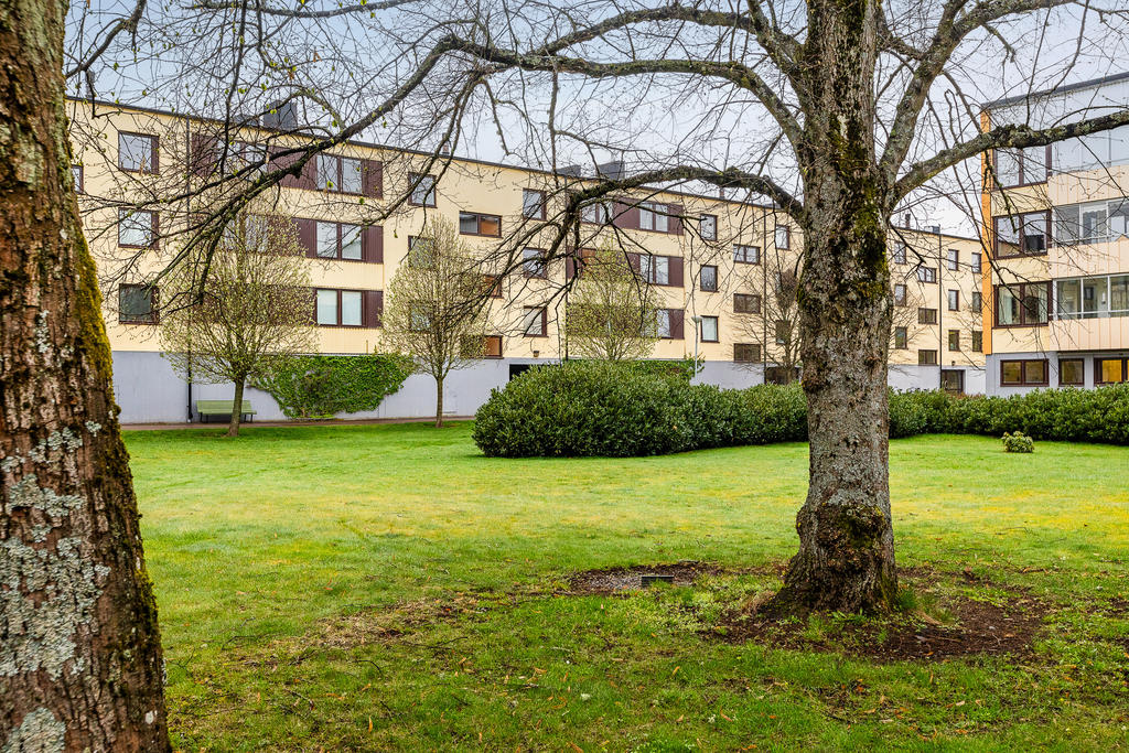 Gårdsmiljö där det erbjuds gemensamma utemöbler på sommaren