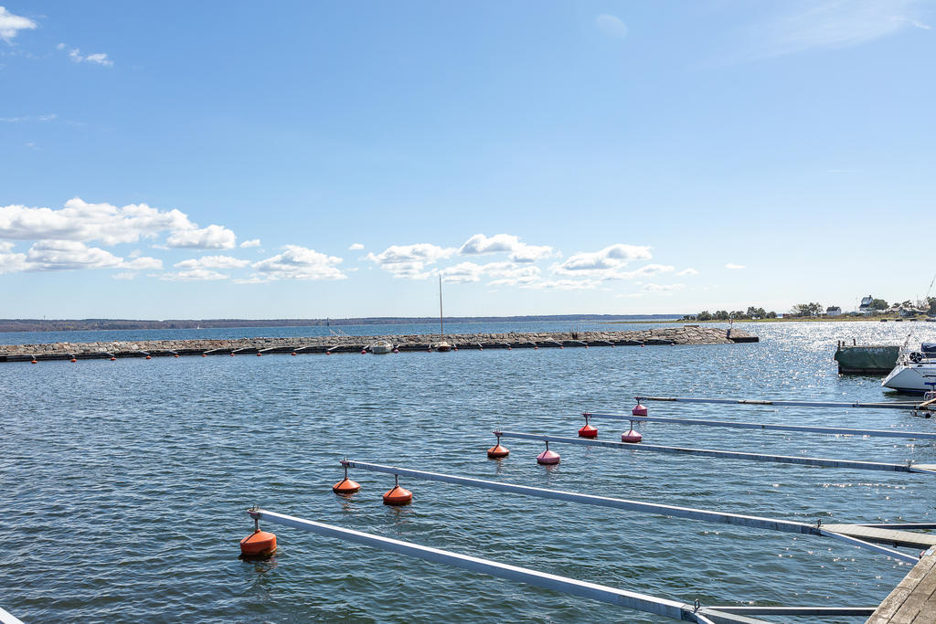 Småbåtshamn