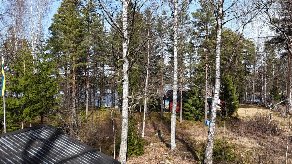 Sjöutsikt mellan träderna