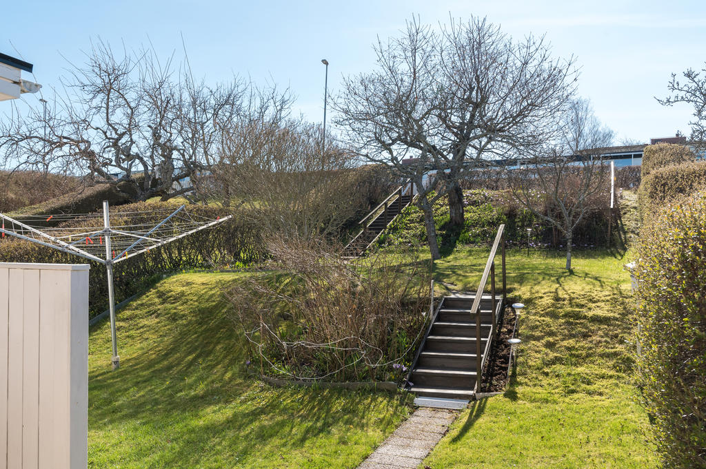 Trädgård