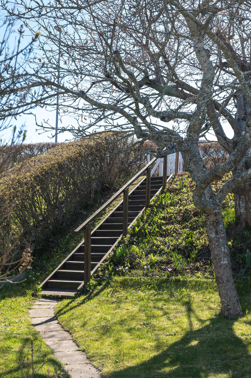 Trädgård