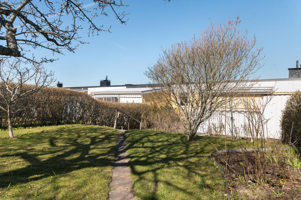Trädgård