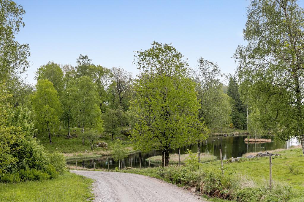 Ännu en sjö med mysiga små öar.