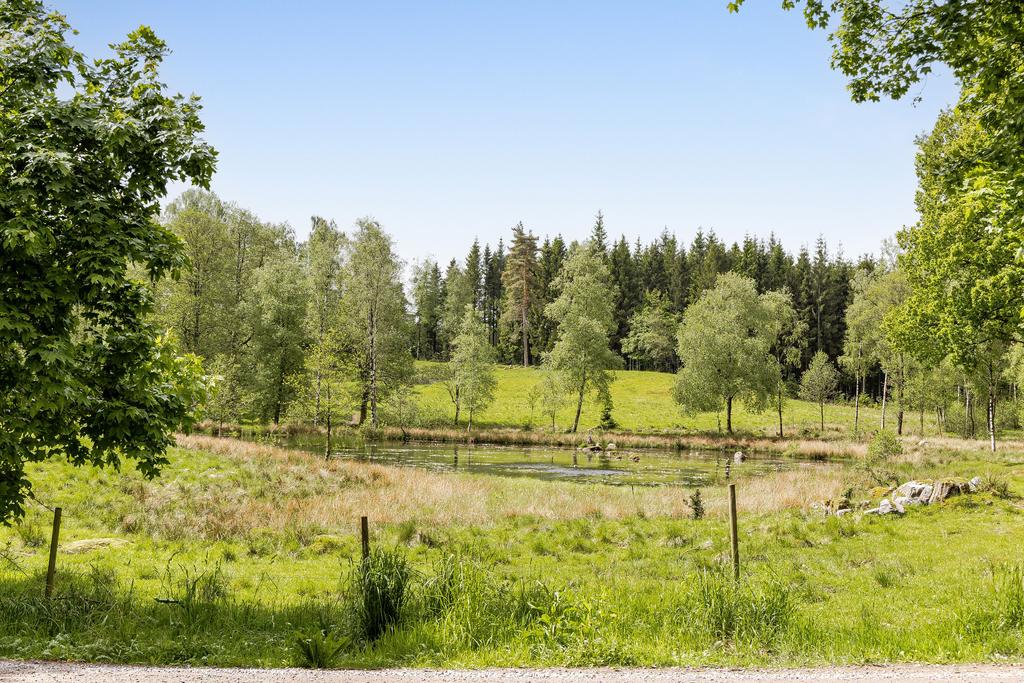 Liten sjö som blir full av näckrosor!