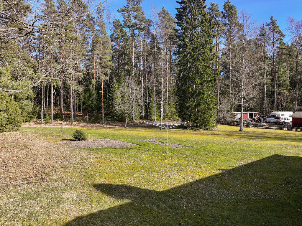Trädgården 