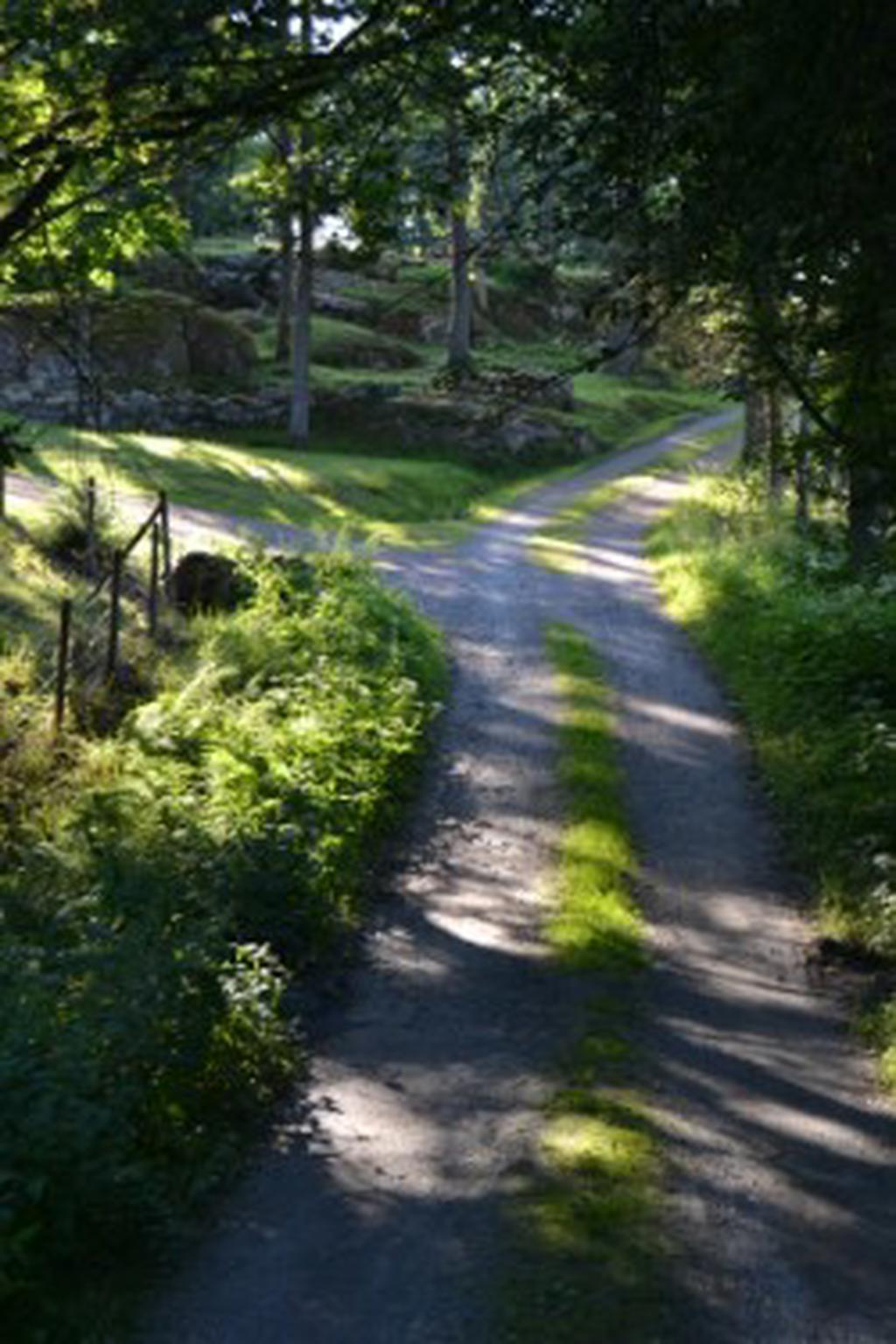 Vägen till sjön 1