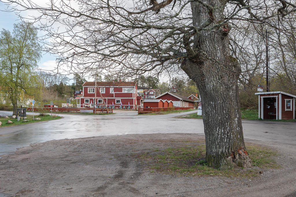 Linanäs
